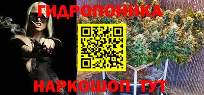 амф Новозыбков